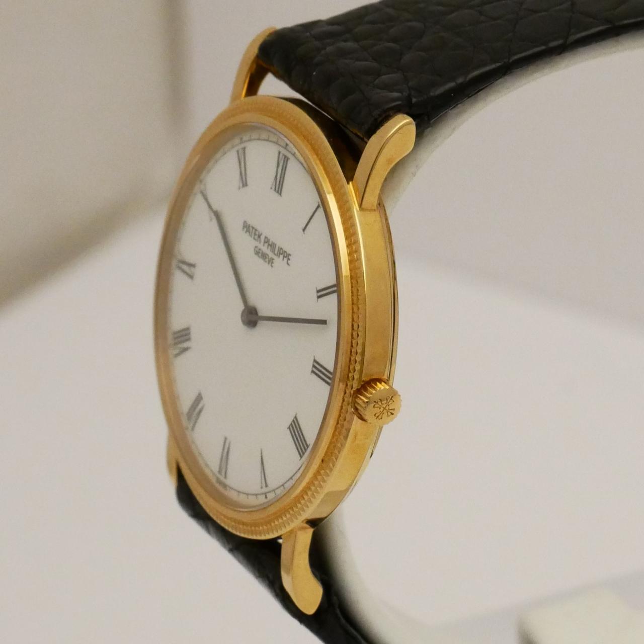 P1800945a.JPG